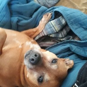 Meet your Posher, Terri